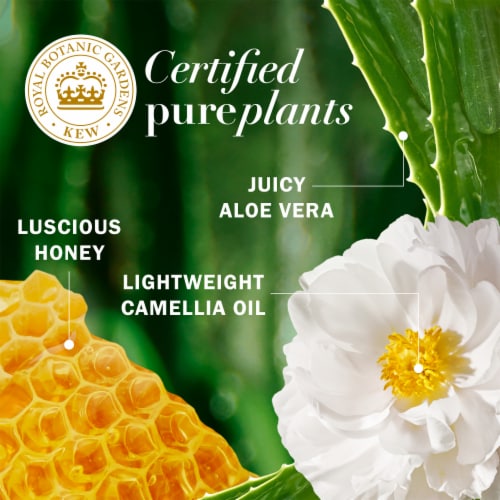 Herbal Essences Honey Daily Moisture Conditioner with Camellia Oil and Aloe Vera Sulfate Free Perspective: right