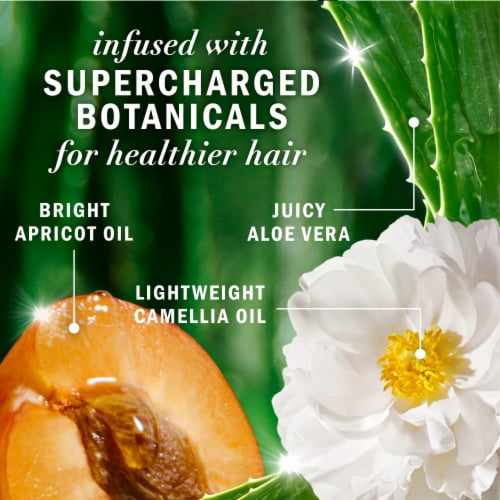 Herbal Essences Apricot Oil Shampoo with Camellia Oil and Aloe Vera Sulfate Free for all Hair Types Perspective: right