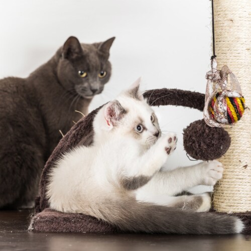 Cat Tree Tower Condo 3 Levels with Cave Perch and Scratching Posts 31 Inches Perspective: right