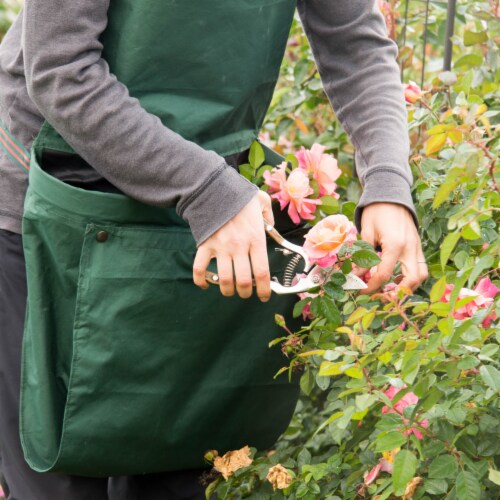 Gardens Alive! Gathering Apron Perspective: right