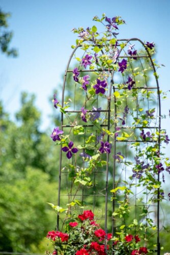 Garden's Alive! Monet Outdoor Garden Arch Perspective: right