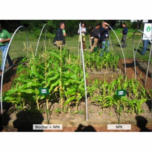 Wakefield 1 cu. ft. Bag Premium Biochar Organic Garden Soil Conditioner (2-Pack) Wakefield 1 cu. ft. Bag Premium Biochar Organic Garden Soil Conditioner (2-Pack)
