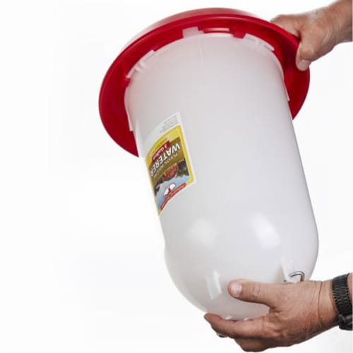 Little Giant 3-Gallon Heavy-Duty Plastic Gravity Fed Poultry Waterer (4 Pack) Perspective: right