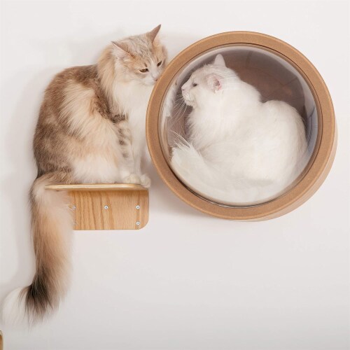 MYZOO Spaceship Gamma Wood Cat Bed Wall Mounted Open Right Shelf Oak 2 Pack 2 Piece Mariano s