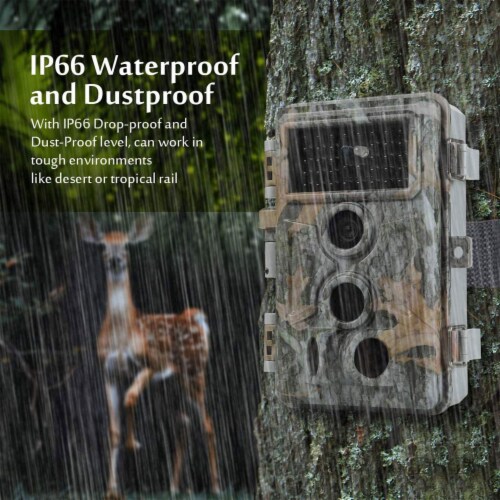 Agitato No Glow Night Vision Game Camera with Passive Infrared Sensor