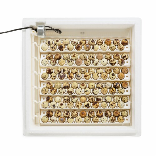 Farm Innovators 3400 Replacement Tray Rail for 360 Quail & Small Eggs (18 Pack) Perspective: right