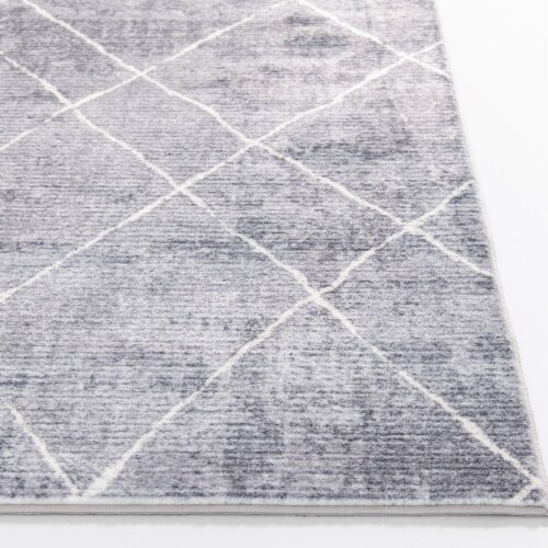 Fred Meyer Velveteen Washable Mayra 2x5 - Grey Perspective: right