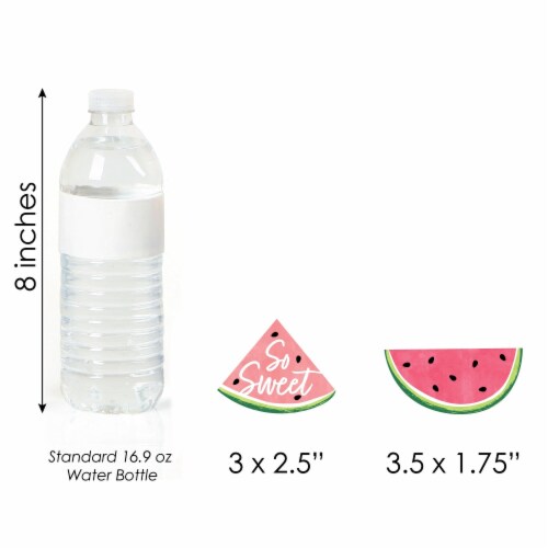 Big Dot of Happiness Sweet Watermelon Cupcake Toppers Fruit Party Clear Treat Picks 24 Ct Perspective: right