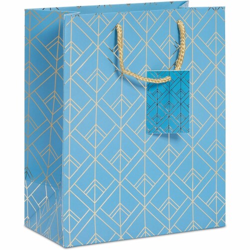 Neon Scalloped Kraft Paper Gift Bags with Handles (9 x 5.5 in, 24 Pack),  PACK - Kroger