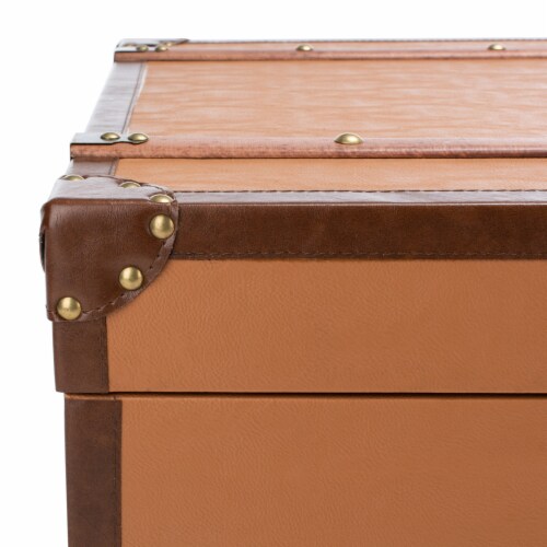 Safavieh Zoe Brown Coffee Table Storage Trunk with Wine Rack