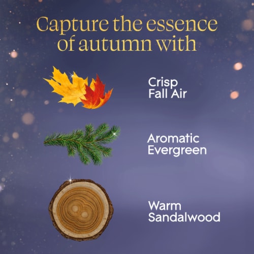 Glade® PlugIns® Refills Air Freshener, Embers & Sandalwood, 1.34oz, 2 count Perspective: right