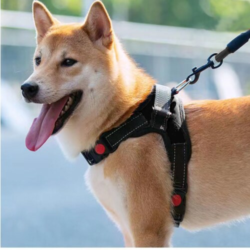 Black No Pull Dog Harness for Small Dogs Cats and 5 FT Padded