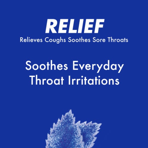 HALLS Relief Mentho-Lyptus Cough Drops Perspective: right