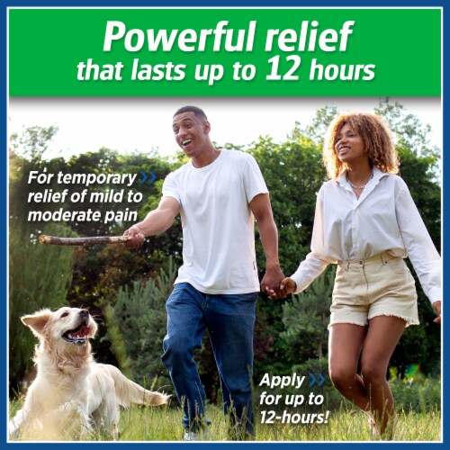 Salonpas® Large Pain Relief Patches Perspective: right