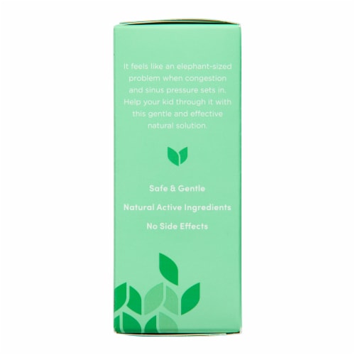 Hyland's Naturals™ #4 Kids Stuffy Nose & Sinus Tablets Perspective: right