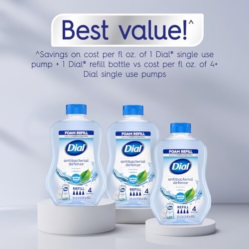 Dial Antibacterial Foaming Hand Wash Refill Spring Water 30 fl oz Pack of 24 24 pack Smith s Food and Drug