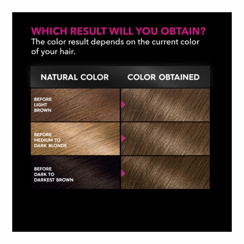 Garnier Olia Oil Powered 6.0 Light Brown Permanent Hair Color Perspective: right