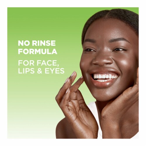 Garnier SkinActive Micellar Cleansing Water & Makeup Remover Mattifying for Oily Skin Perspective: right