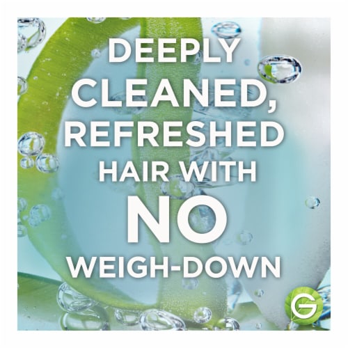 Garnier Whole Blends Coconut Water and Aloe Vera Moisturizing Conditioner for Dehydrated Hair Perspective: right