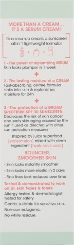 Garnier Green Labs Hyalu-Melon Replumping Serum Cream Perspective: right