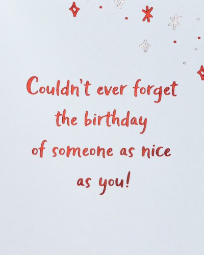 American Greetings #30 Birthday Card (Puppy) Perspective: right