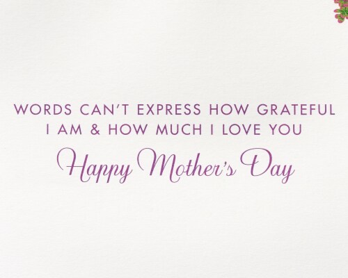 Papyrus #54 Mother's Day Card for Mom (Succulent Planters) Perspective: right