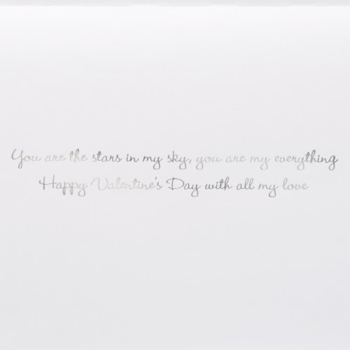 Papyrus #54 Valentines Day Card - You Are the Stars In My Sky Perspective: right