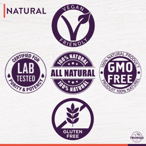 Natural Kombucha Powder Probiotic Supplement - On-The-Go Powder (Mix with Water and Drink) Perspective: right
