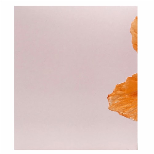 Vince Camuto Bella Eau De Parfum Spray Perspective: right