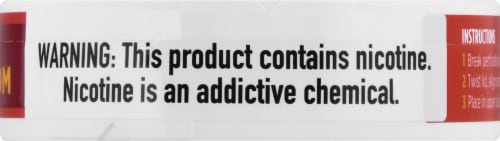 ZYN Cinnamon 3mg Nicotine Pouches Perspective: right