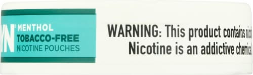 ZYN® Menthol Nicotine Pouches 6mg Perspective: right