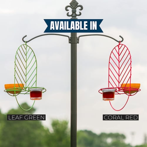 MEKKAPRO Leaf Oriole Bird Feeder, Dual Jelly Orange Feed, Fits Clementine Nectar (Coral Red) Perspective: right