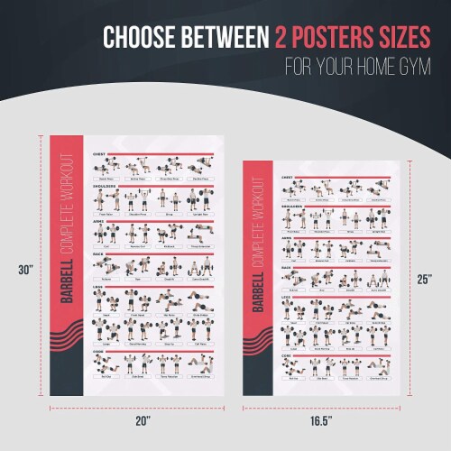 Barbell exercises 2025 chart