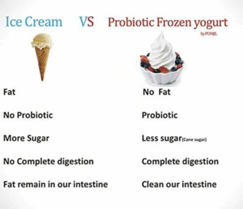 Coconut Yogurt Powder, Probiotic Soft Serve Ice Cream Mix Perspective: right