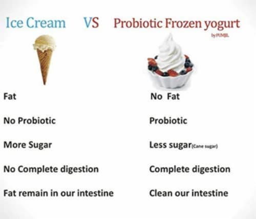 Strawberry Yogurt Powder, Probiotic Soft Serve Ice Cream Mix Perspective: right