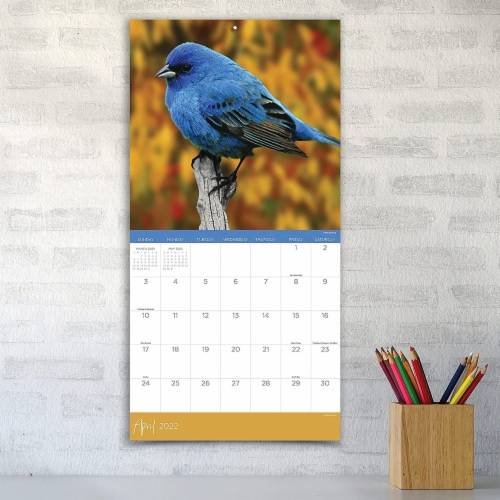 2022 Backyard Birds 12 Month Wall Calendar by TF Publishing Perspective: right