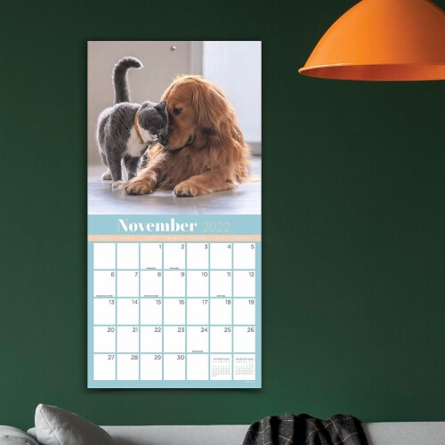 2022 Furry Friends Wall Calendar by TF Publishing Perspective: right