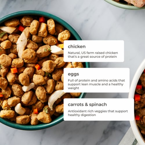 Freshpet Tender Chicken Recipe Dog Food Perspective: right