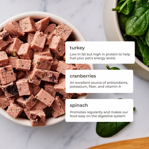 Freshpet Healthy & Natural Dog Food, Small Dog Fresh Chicken & Turkey Roll Perspective: right