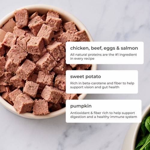 Freshpet Select Small Dog Multi Protein Recipe With Sweet Potatoes Dog Food 1 lb Fry s Food Stores