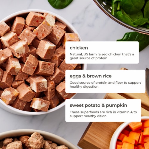 Freshpet Select Sensitive Stomach & Skin Steam Cooked Chicken Recipe Dog Food Perspective: right