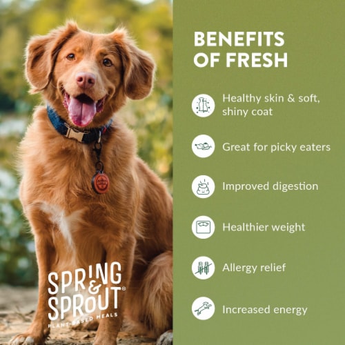 Freshpet Healthy & Natural Dog Food, Fresh Plant Based Protein & Egg Patties with Apple & Cheese Perspective: right