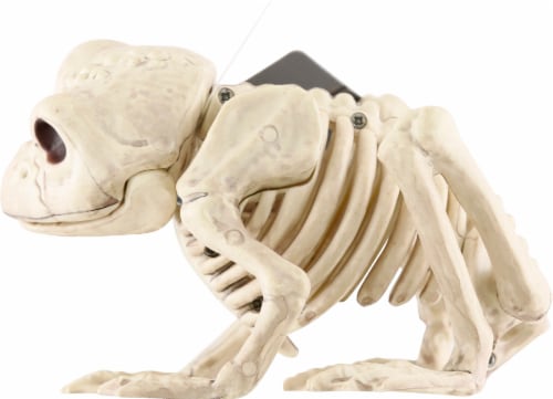 Seasons Frog Skeleton Decoration Perspective: right