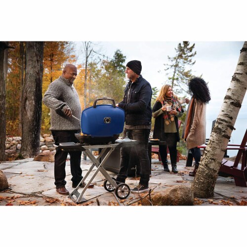 Napoleon TravelQ 285X Portable Propane Gas Grill w/ Scissor Cart & Griddle, Blue Perspective: right