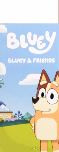 bluey and friends figures