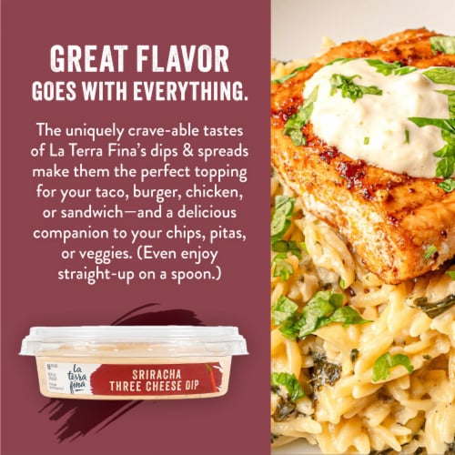 La Terra Fina Sriracha Three Cheese Dip Perspective: right
