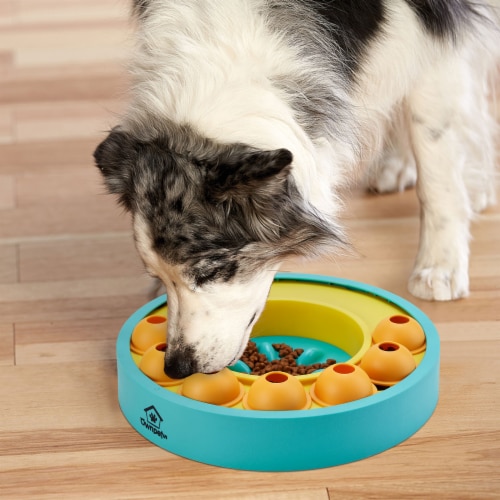 Pet Dog Slow Feeder Basin Interactive Dog Food Treat Puzzle - Temu