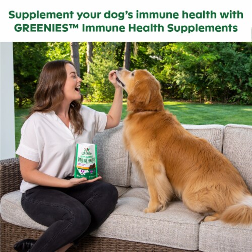Greenies™ Chicken Flavor Immune Health Supplement Adult Dog Soft Chews Perspective: right