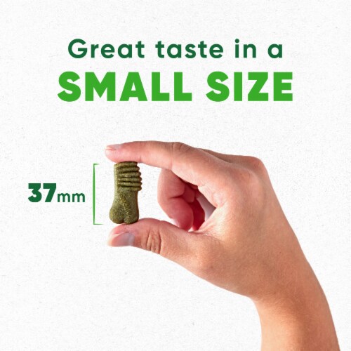 Greenies Anytime Bites Mint Dog Treats Perspective: right