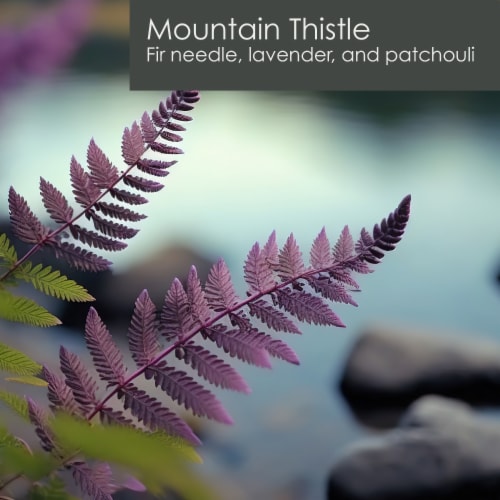 Tuscany Candle™ Homme & Heritage Collection Jar Candle Mountain Thistle Perspective: right